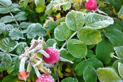 IMG_20211010_081715