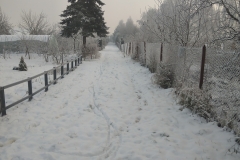 IMG_20211211_094646