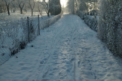 IMG_20211211_115628