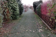 IMG_20221119_074243